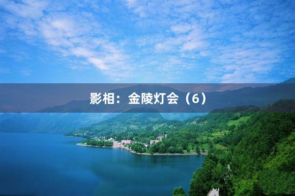 影相:金陵灯会(6)