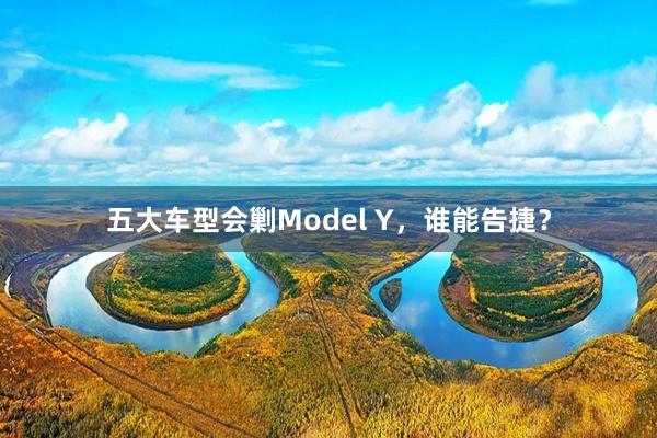 五大车型会剿Model Y,谁能告捷?