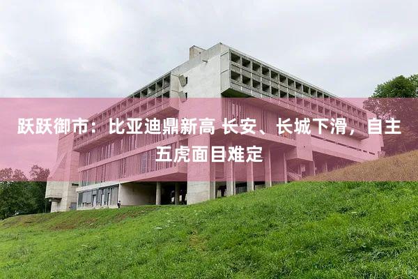 跃跃御市:比亚迪鼎新高 长安、长城下滑,自主五虎面目难定