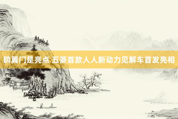 鸥翼门是亮点 五菱首款人人新动力见解车首发亮相