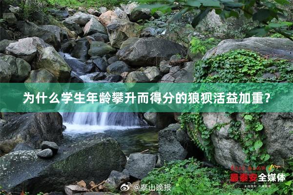 为什么学生年龄攀升而得分的狼狈活益加重?