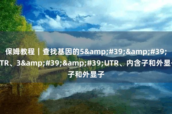 保姆教程|查找基因的5''UTR、3''UTR、内含子和外显子