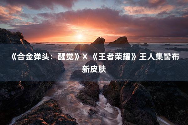 《合金弹头:醒觉》X 《王者荣耀》王人集髻布新皮肤