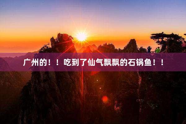 广州的！！吃到了仙气飘飘的石锅鱼！！
