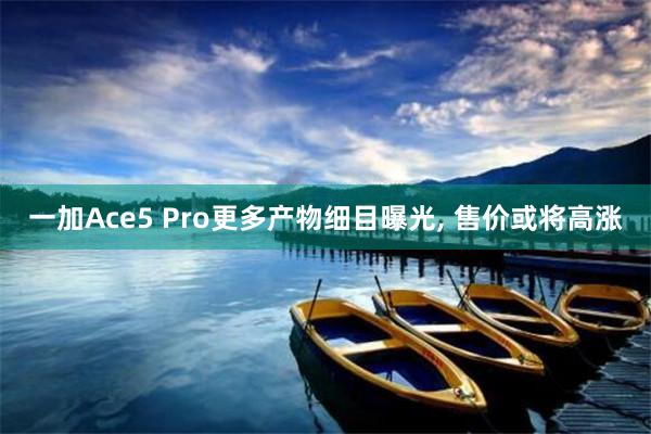 一加Ace5 Pro更多产物细目曝光, 售价或将高涨