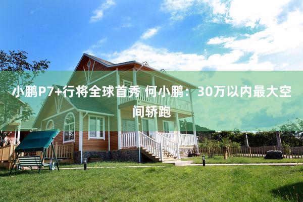 小鹏P7+行将全球首秀 何小鹏:30万以内最大空间轿跑
