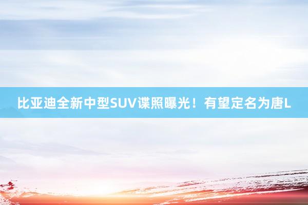 比亚迪全新中型SUV谍照曝光！有望定名为唐L
