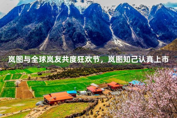 岚图与全球岚友共度狂欢节，岚图知己认真上市