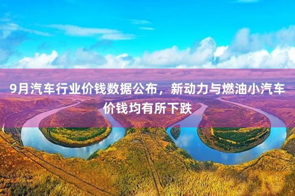 9月汽车行业价钱数据公布,新动力与燃油小汽车价钱均有所下跌