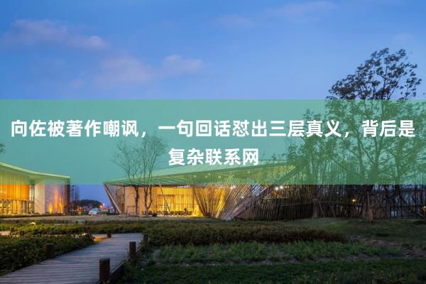 向佐被著作嘲讽,一句回话怼出三层真义,背后是复杂联系网