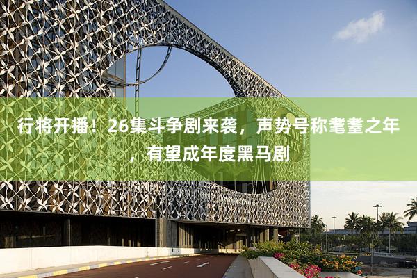 行将开播!26集斗争剧来袭,声势号称耄耋之年,有望成年度黑马剧