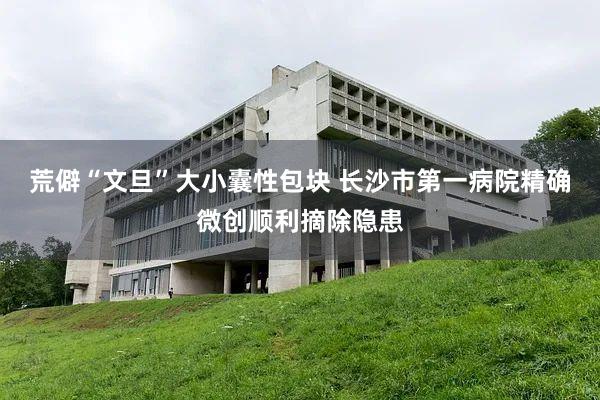 荒僻“文旦”大小囊性包块 长沙市第一病院精确微创顺利摘除隐患