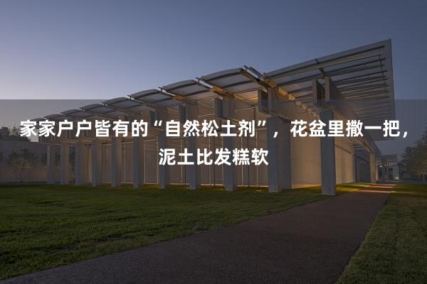 家家户户皆有的“自然松土剂”,花盆里撒一把,泥土比发糕软