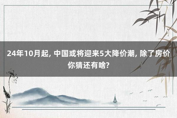 24年10月起, 中国或将迎来5大降价潮, 除了房价你猜还有啥?