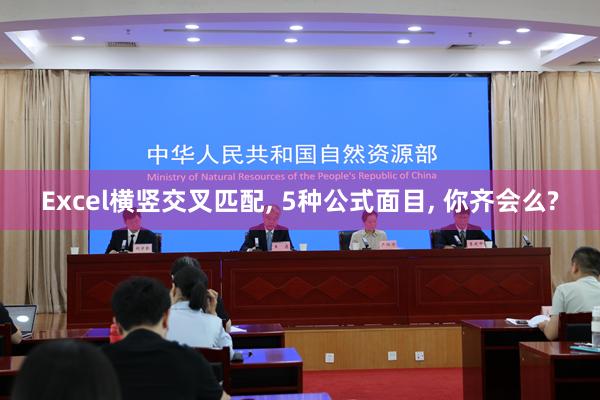 Excel横竖交叉匹配, 5种公式面目, 你齐会么?