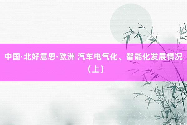 中国·北好意思·欧洲 汽车电气化、智能化发展情况（上）