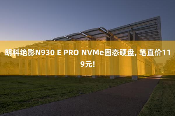 朗科绝影N930 E PRO NVMe固态硬盘, 笔直价119元!